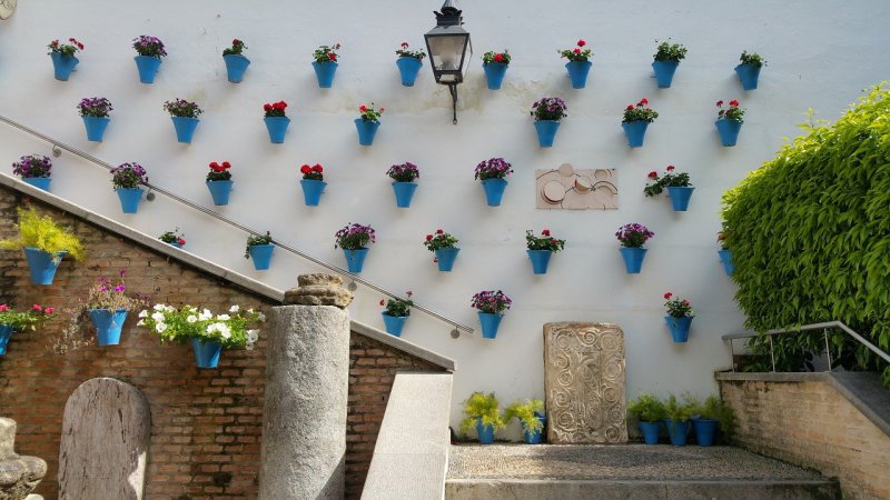 Patios de Córdoba