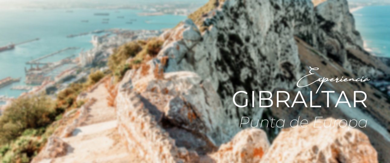 Gibraltar T&E