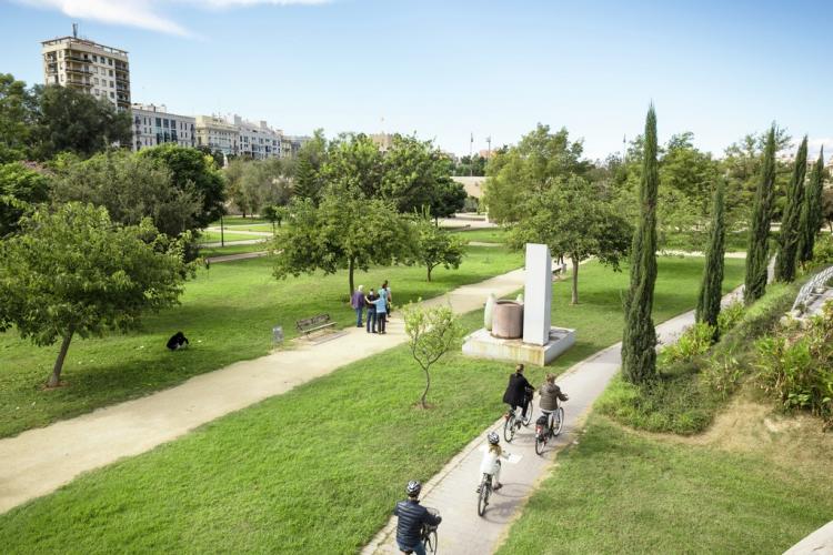 Experiencia de paseo en bicicleta en el parque Turia Valencia