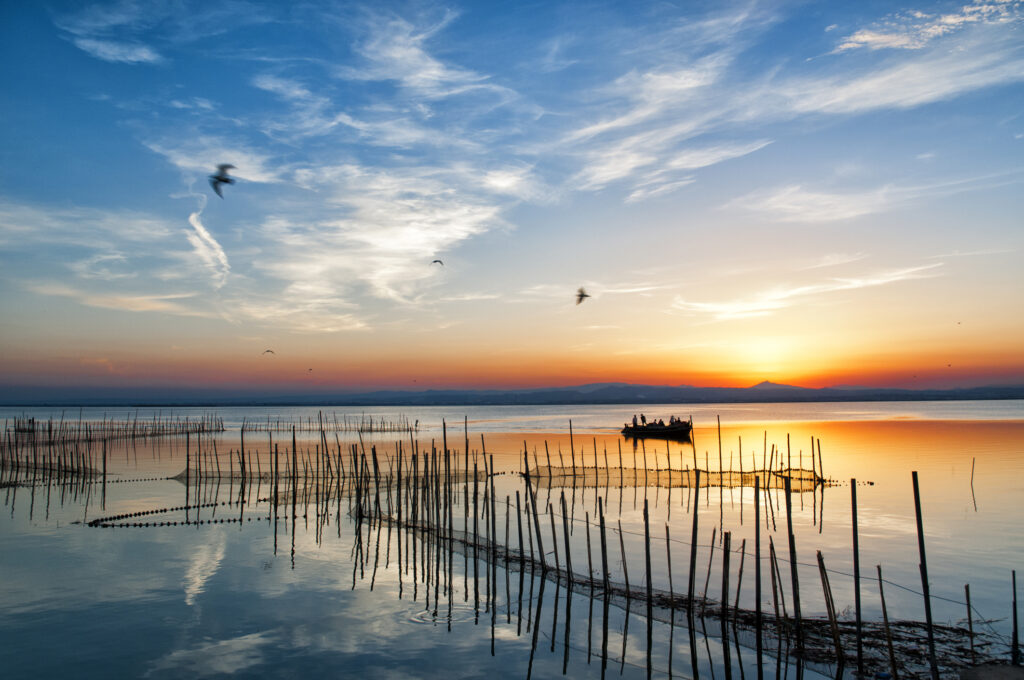 Experiencia en barco en el Parque Natural de la Albufera Valencia