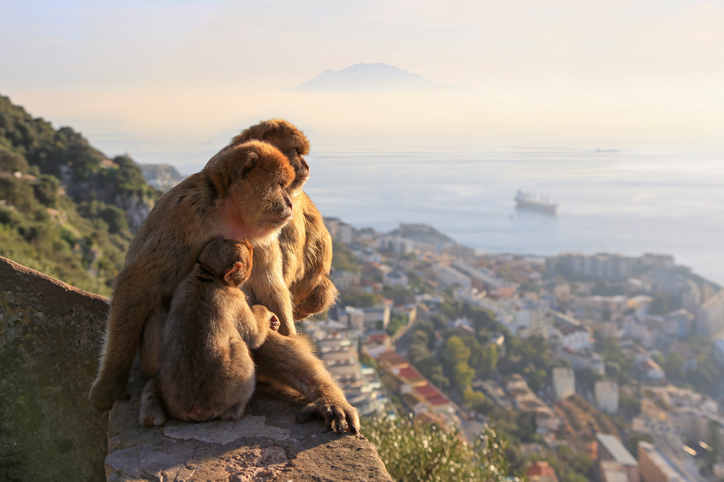 Consejos para visitar Gibraltar en familia con niños