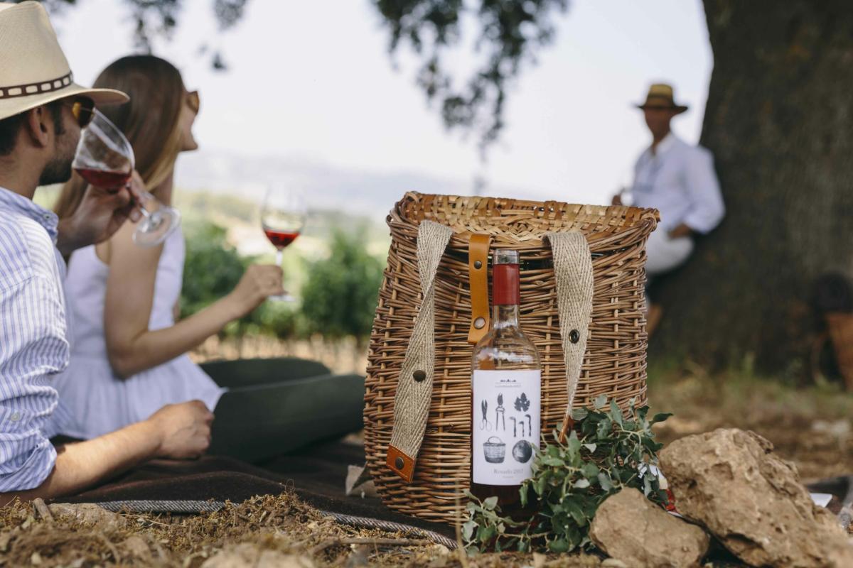 Picnic en viñedo