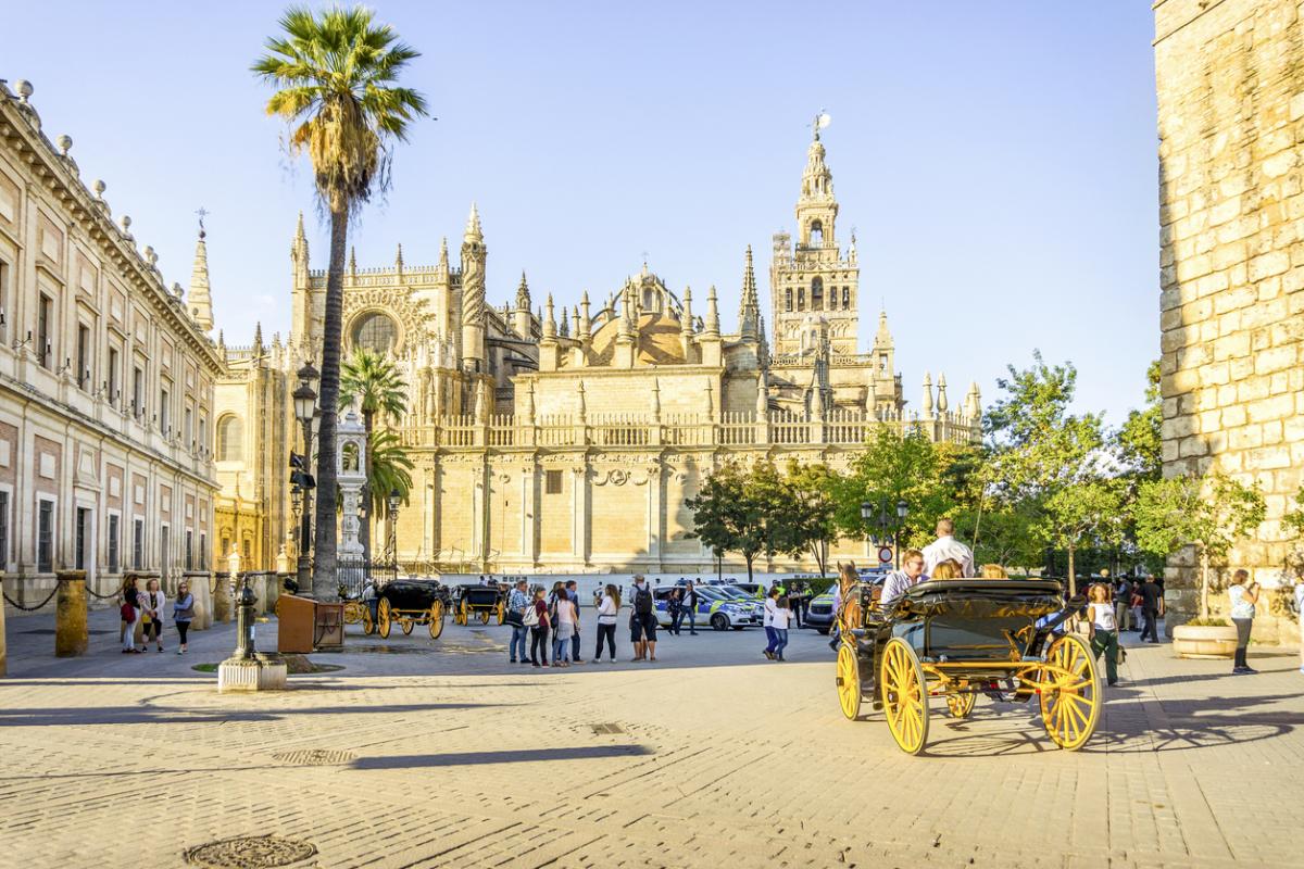 Tour a Sevilla + Free Walking Tour