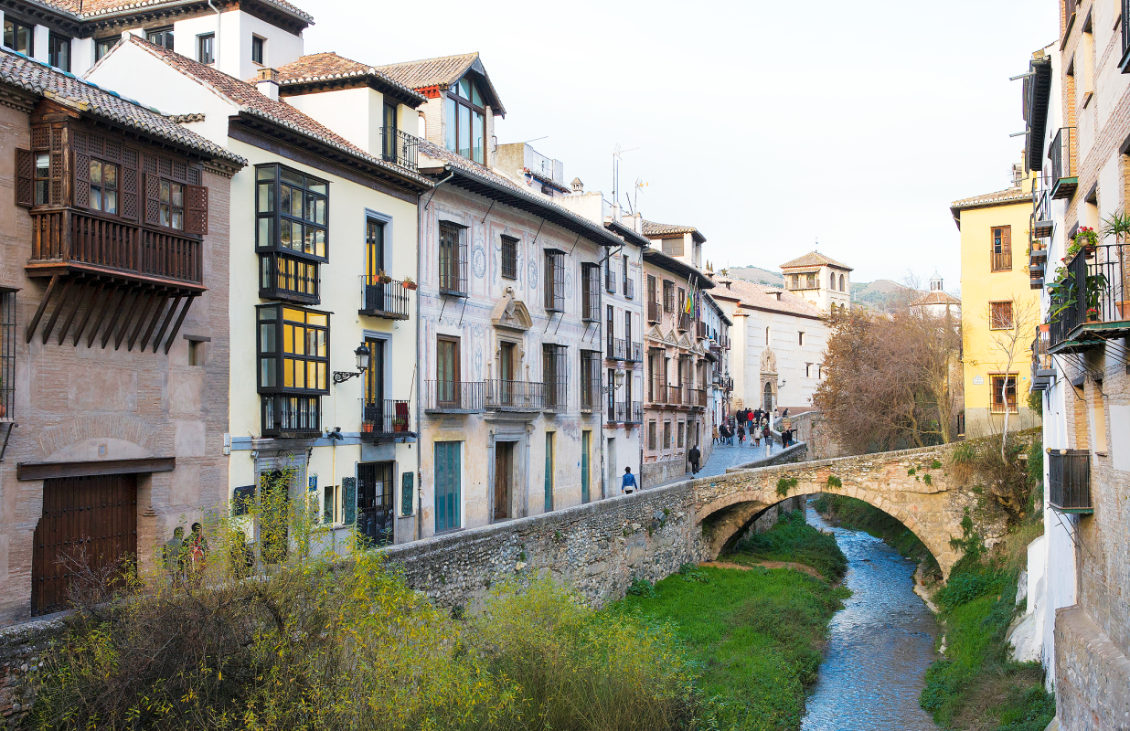 Tour a Granada + Free Walking Tour