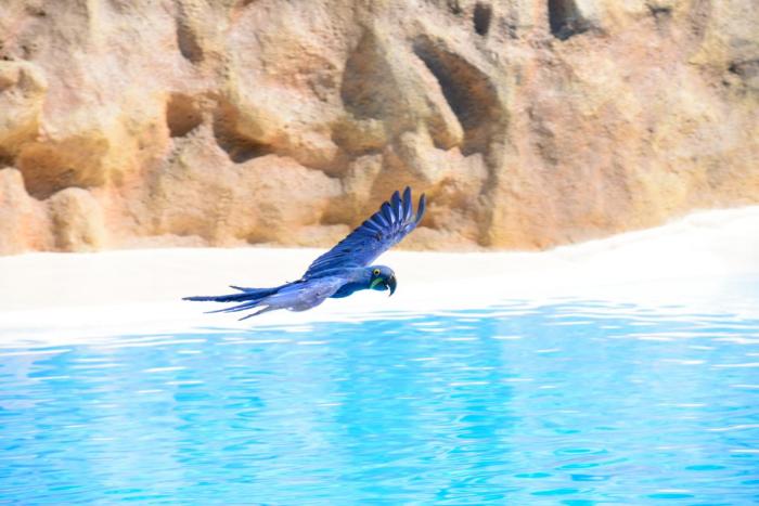 Loro Parque (Para residentes)
