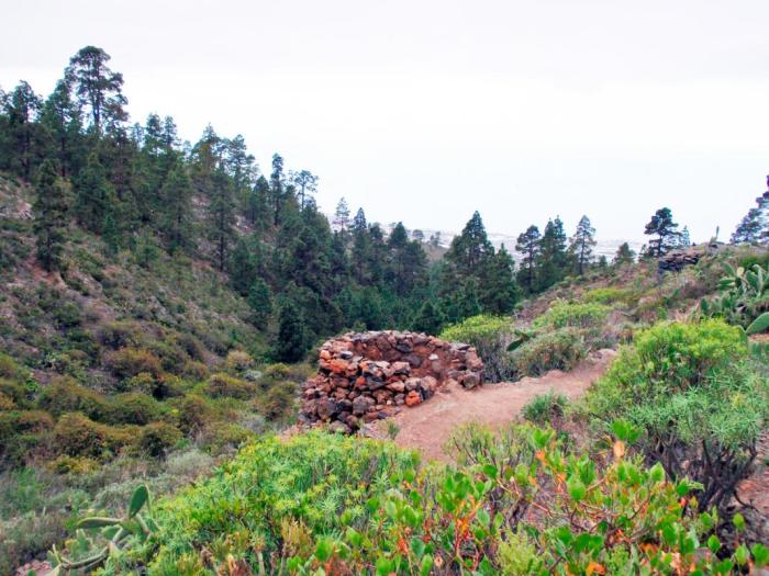 Pueblos Canarios Trekking