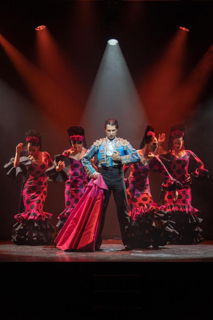 Ole Flamenco Show - Platino