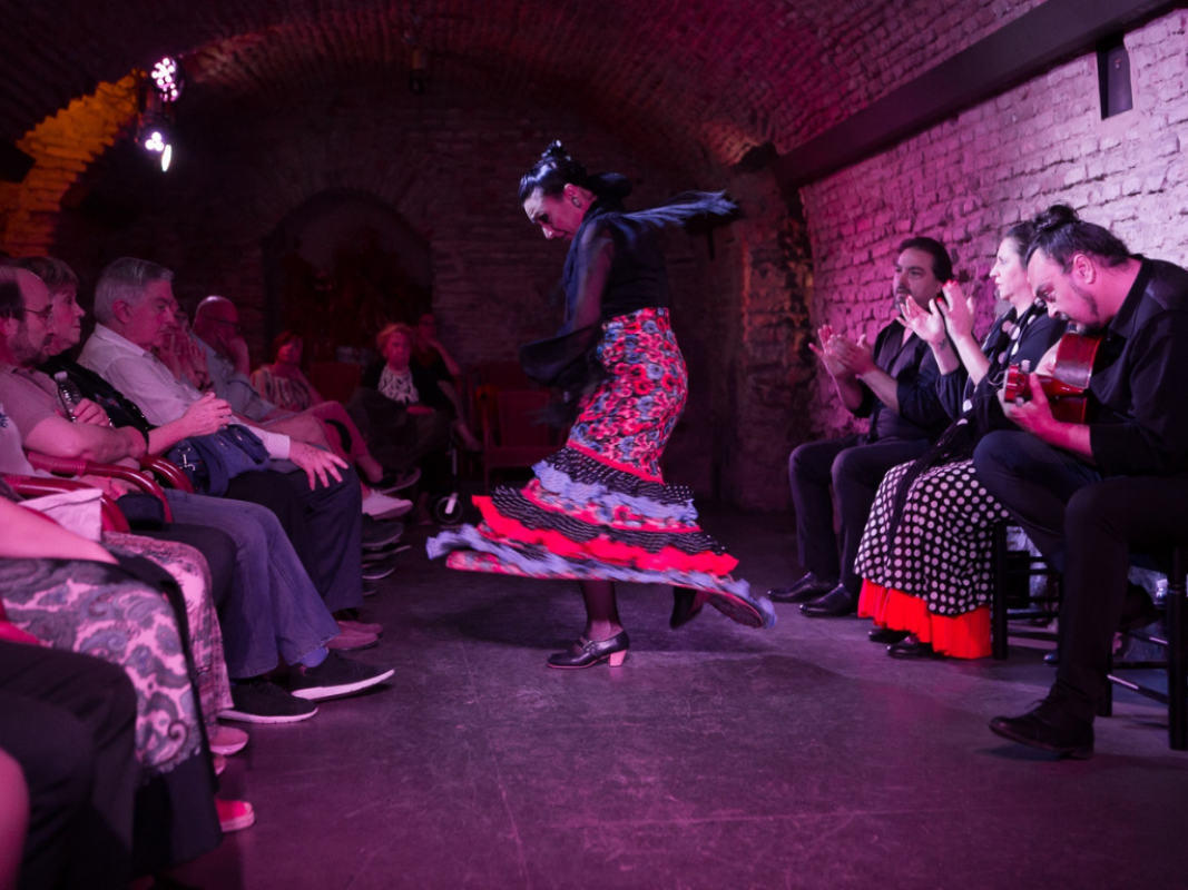 Espectáculo Flamenco Premium VIP